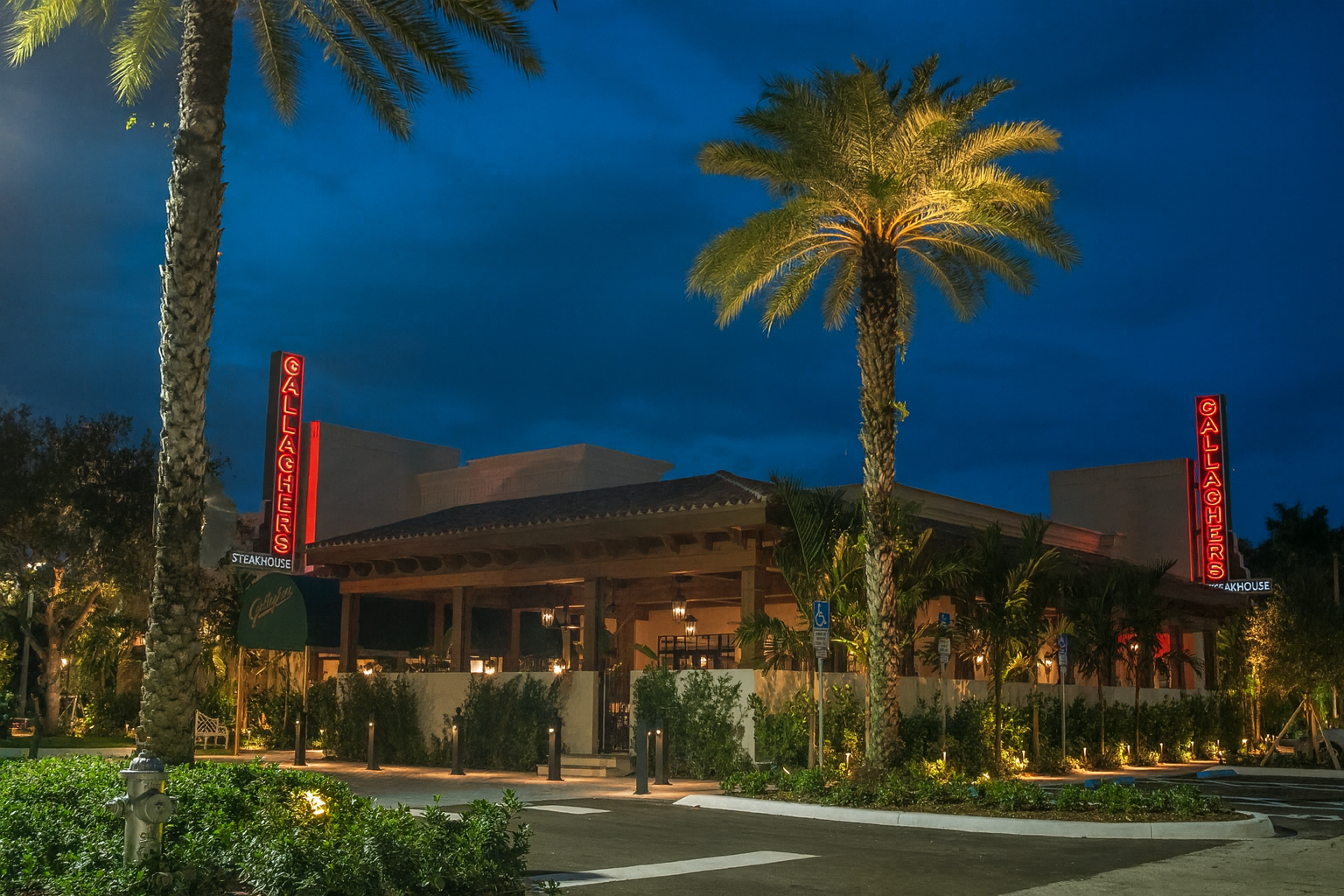 a palm tree on a street