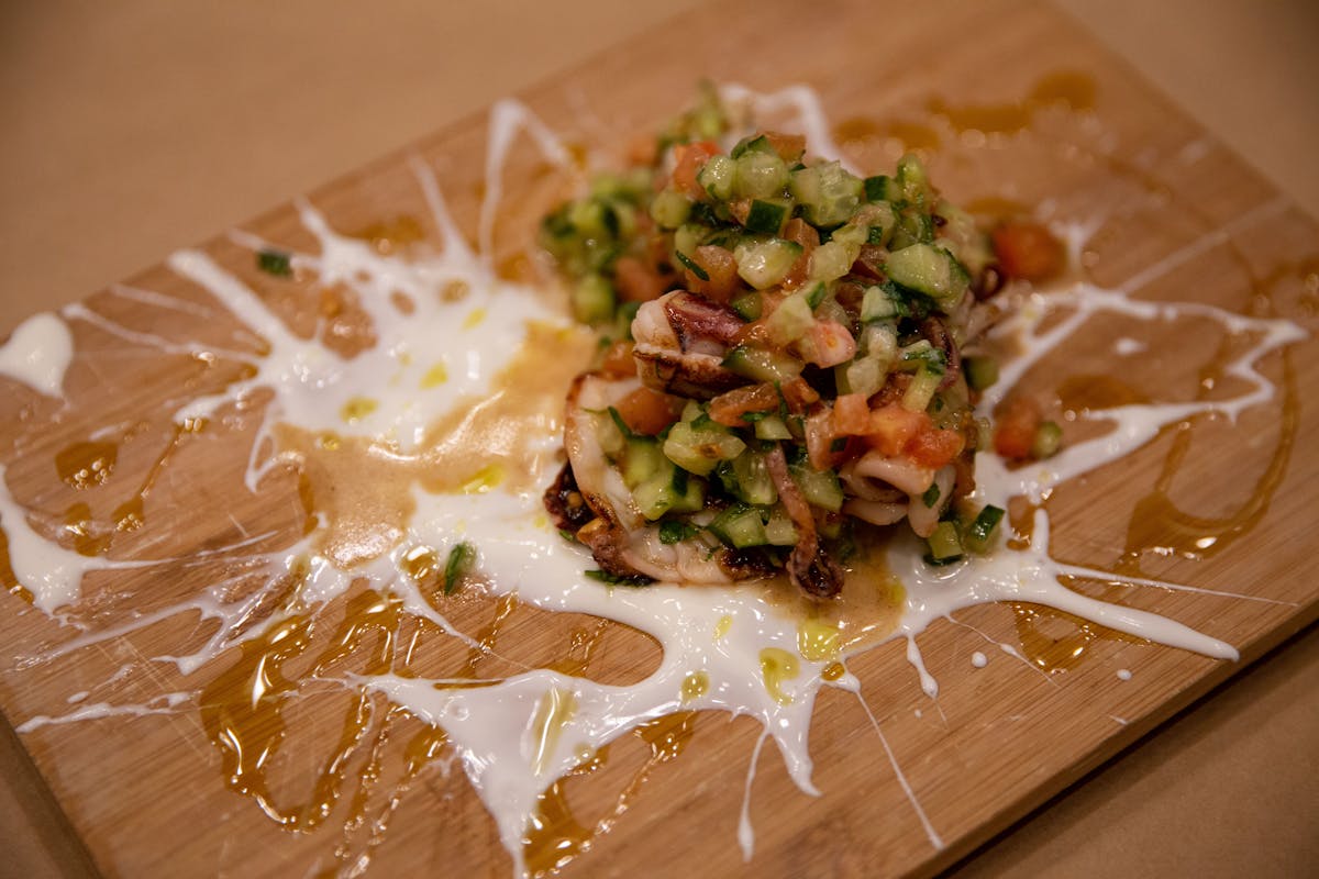 Calamari & salat aravi splattered on a plate