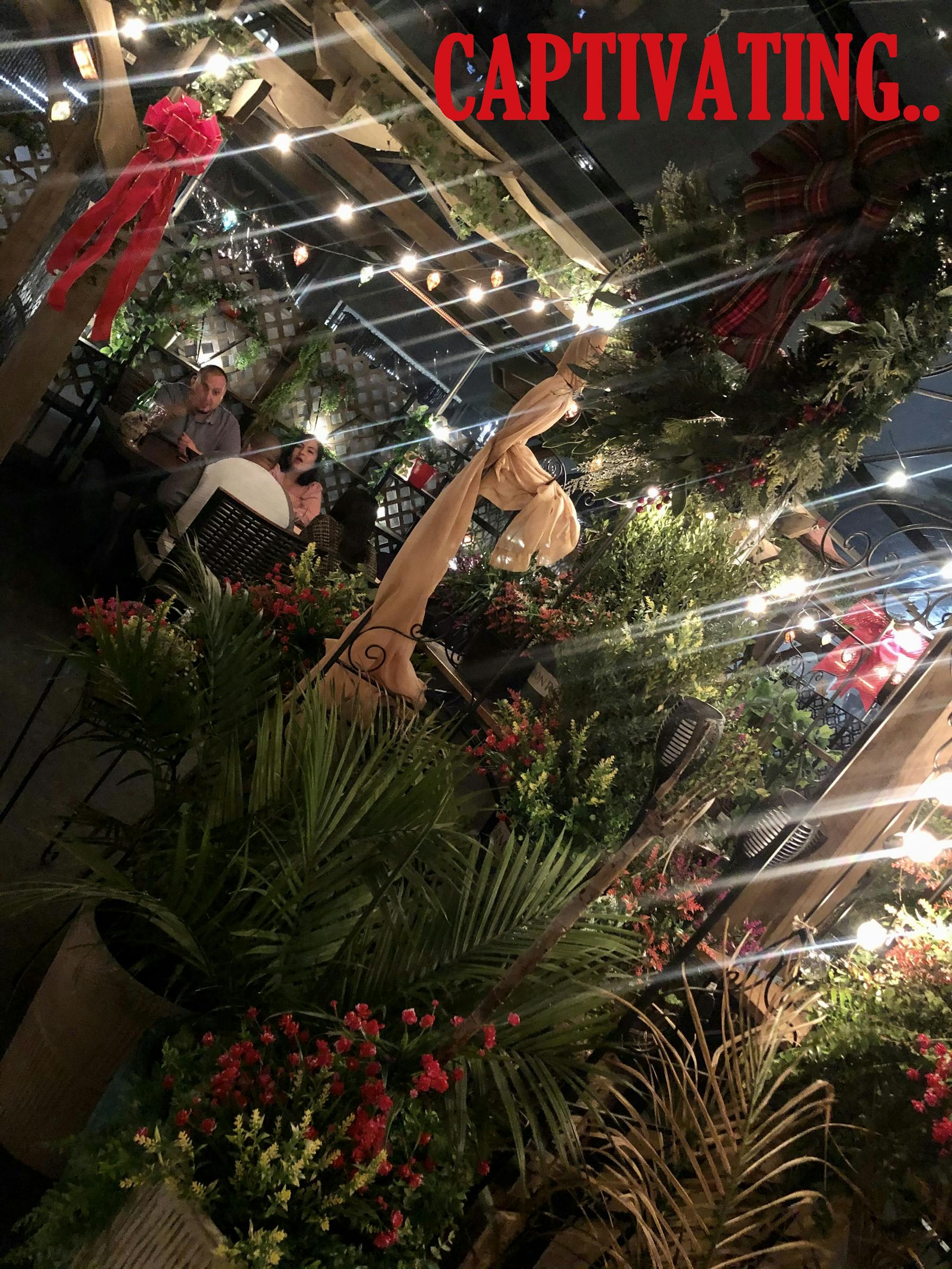 a christmas tree