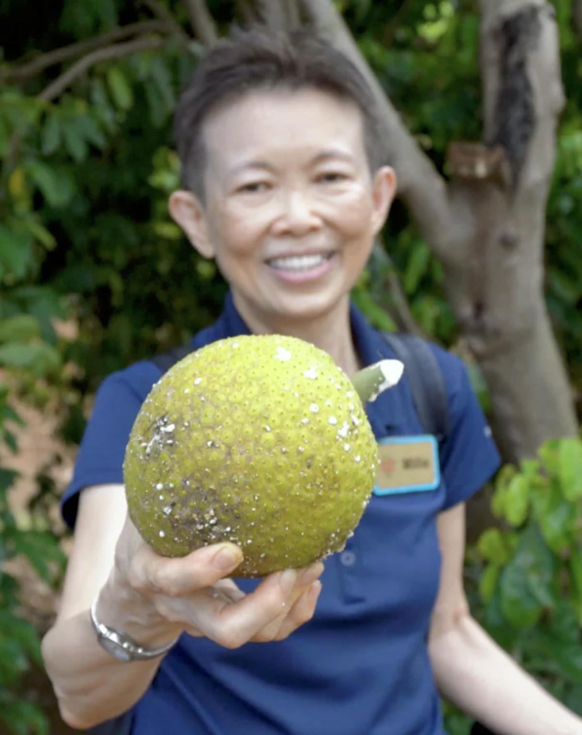a fruit