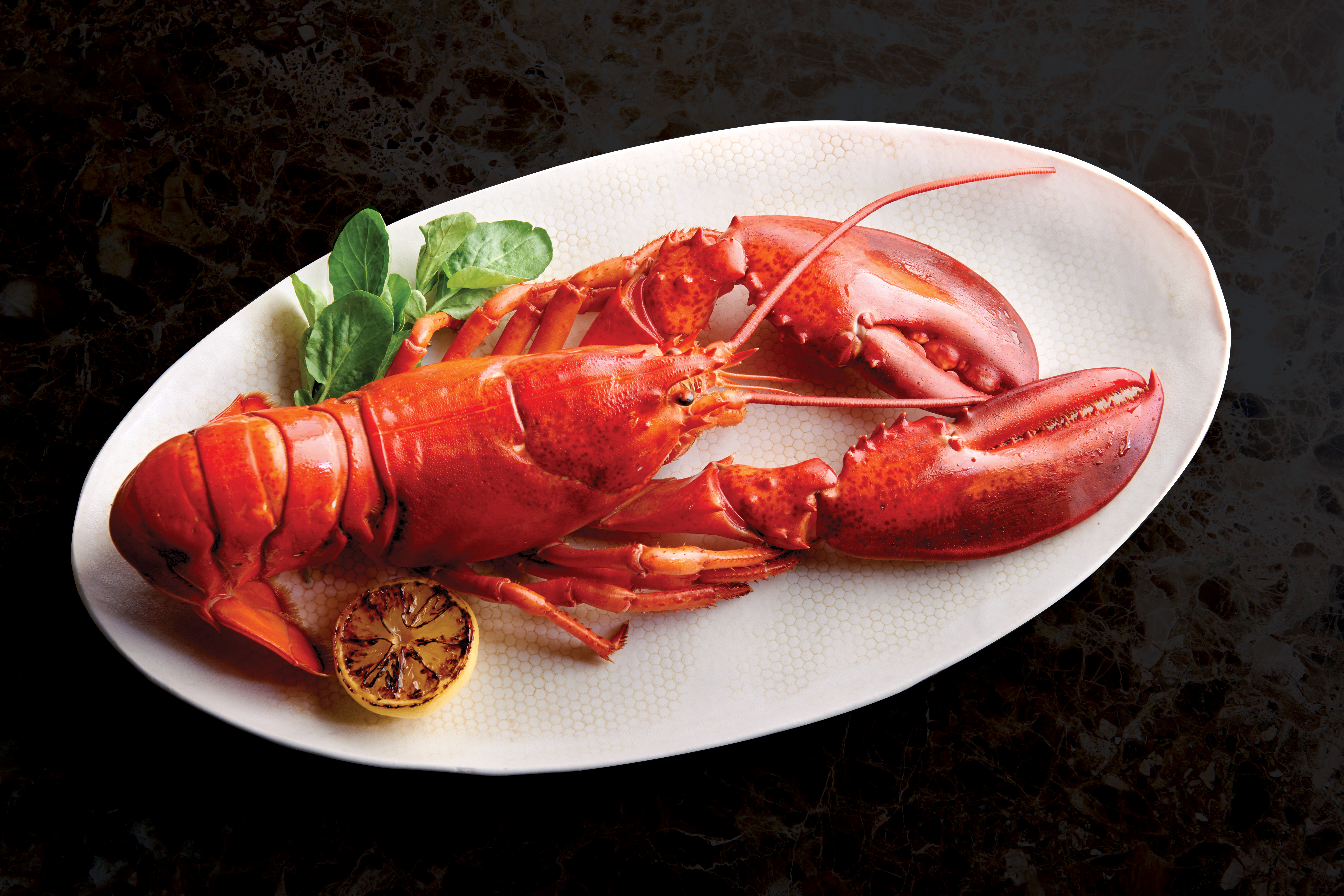 a lobster on a plate