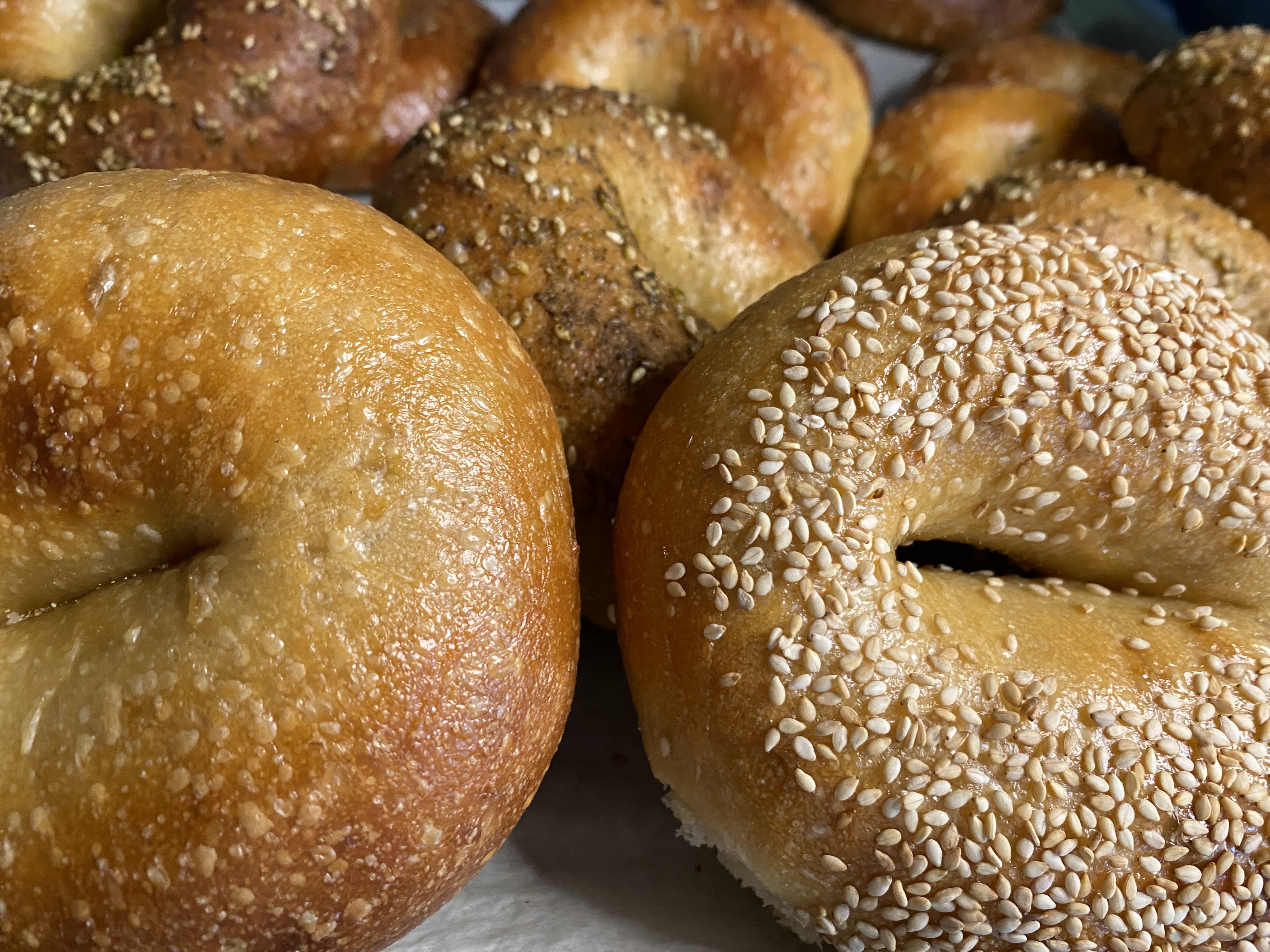 Bagels