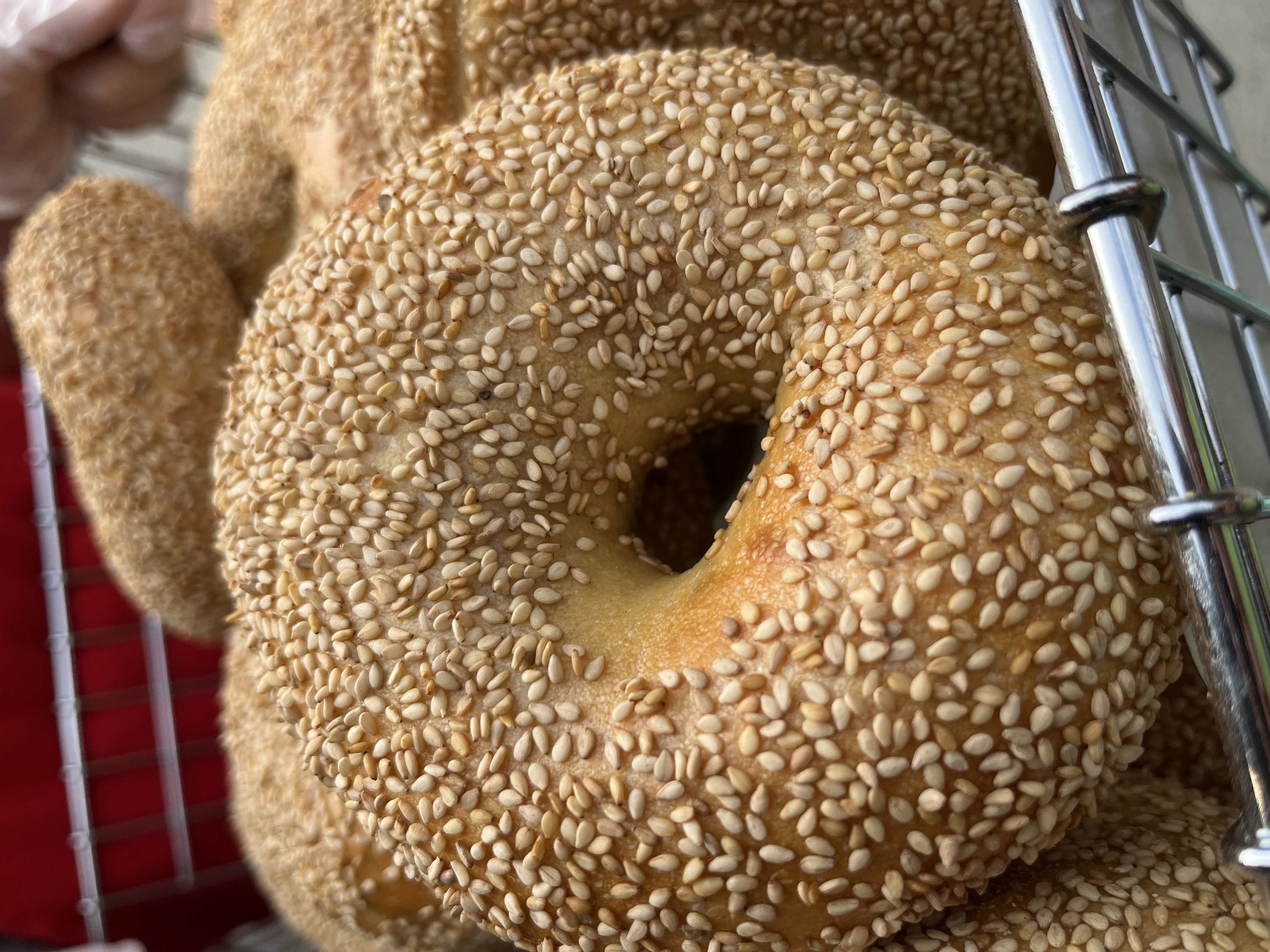 Sesame Bagel