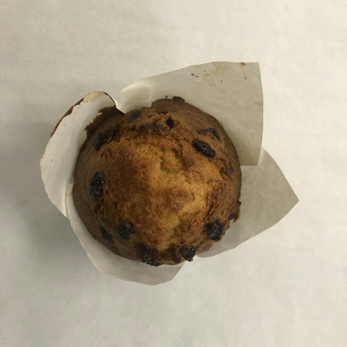 a muffin with raisins