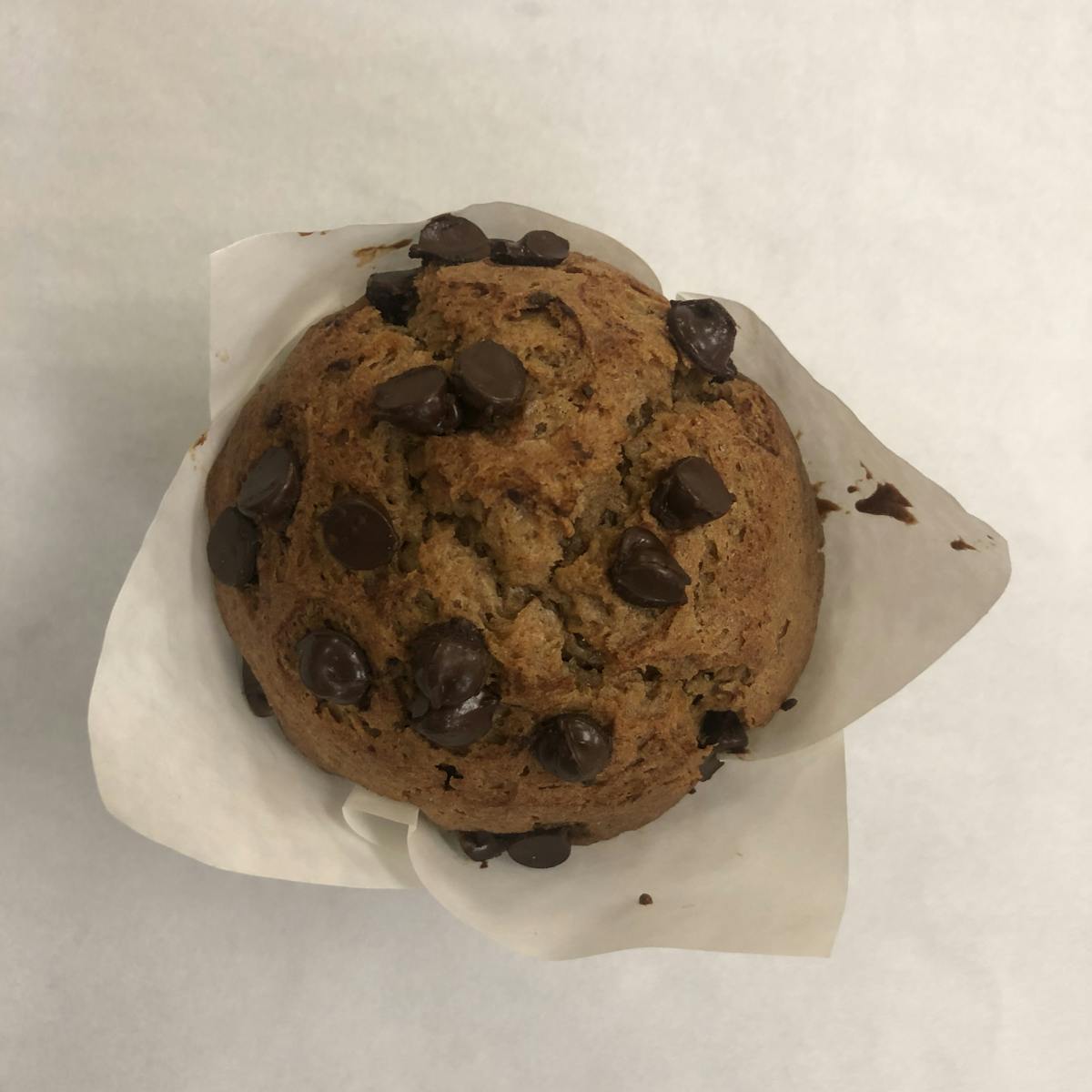 a muffin with chocolate chips