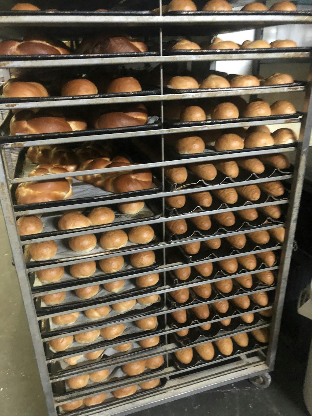 bread on trays