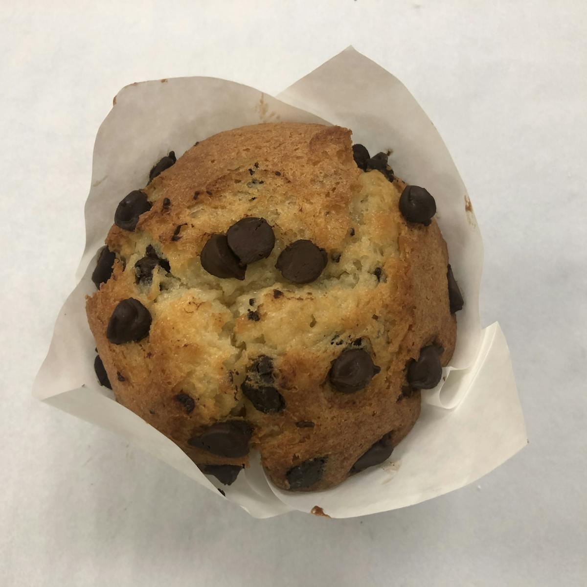 a muffin with chocolate chips
