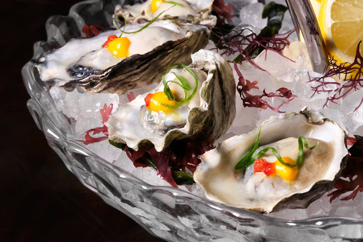 oysters sitting on ice