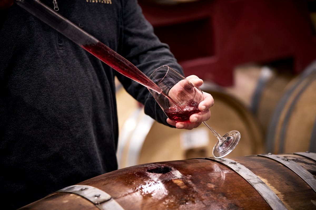 winemaker sampling wine from barrel