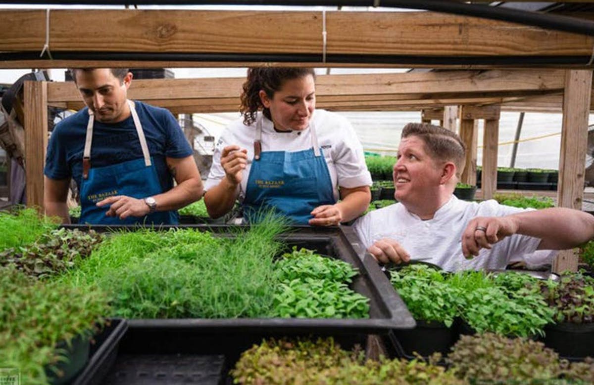 a group of people in a garden