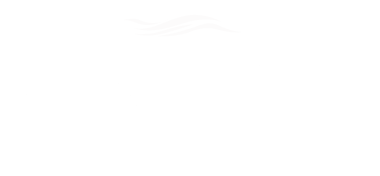 Mill Pond House Home