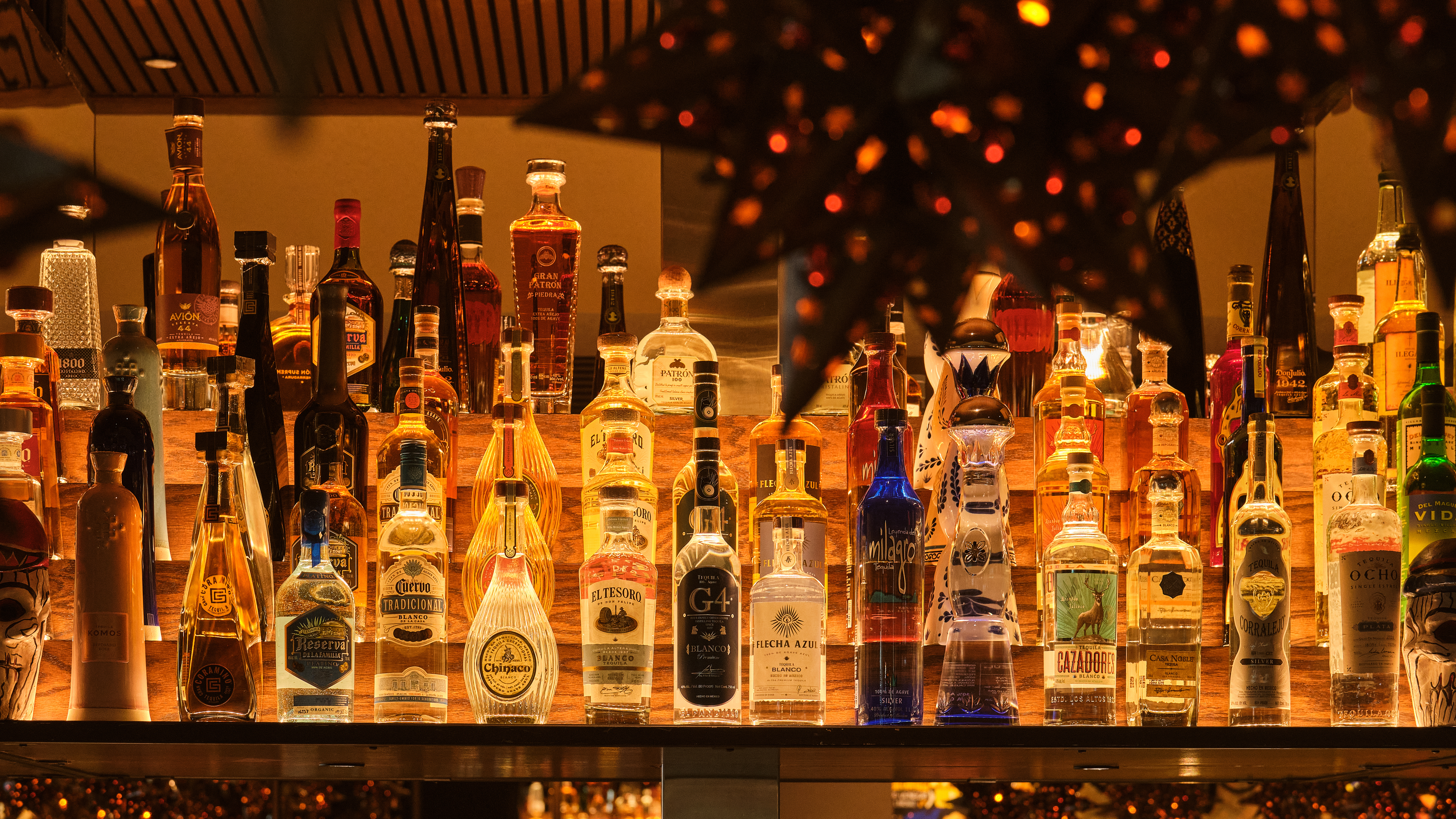Backlit tequila bottles lined up on the bar shelves at Rocco's Tacos & Tequila Bar, lit by a punched-tin star lantern