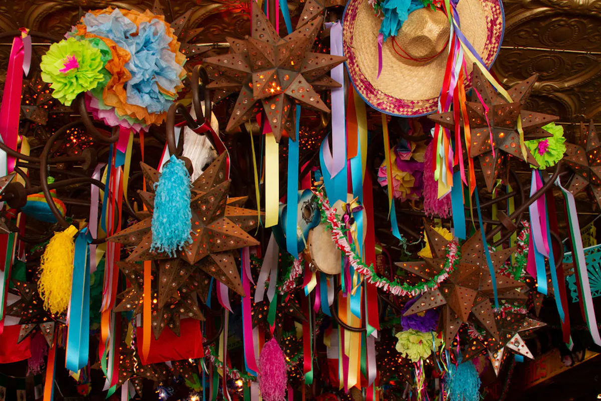 a group of colorful flowers