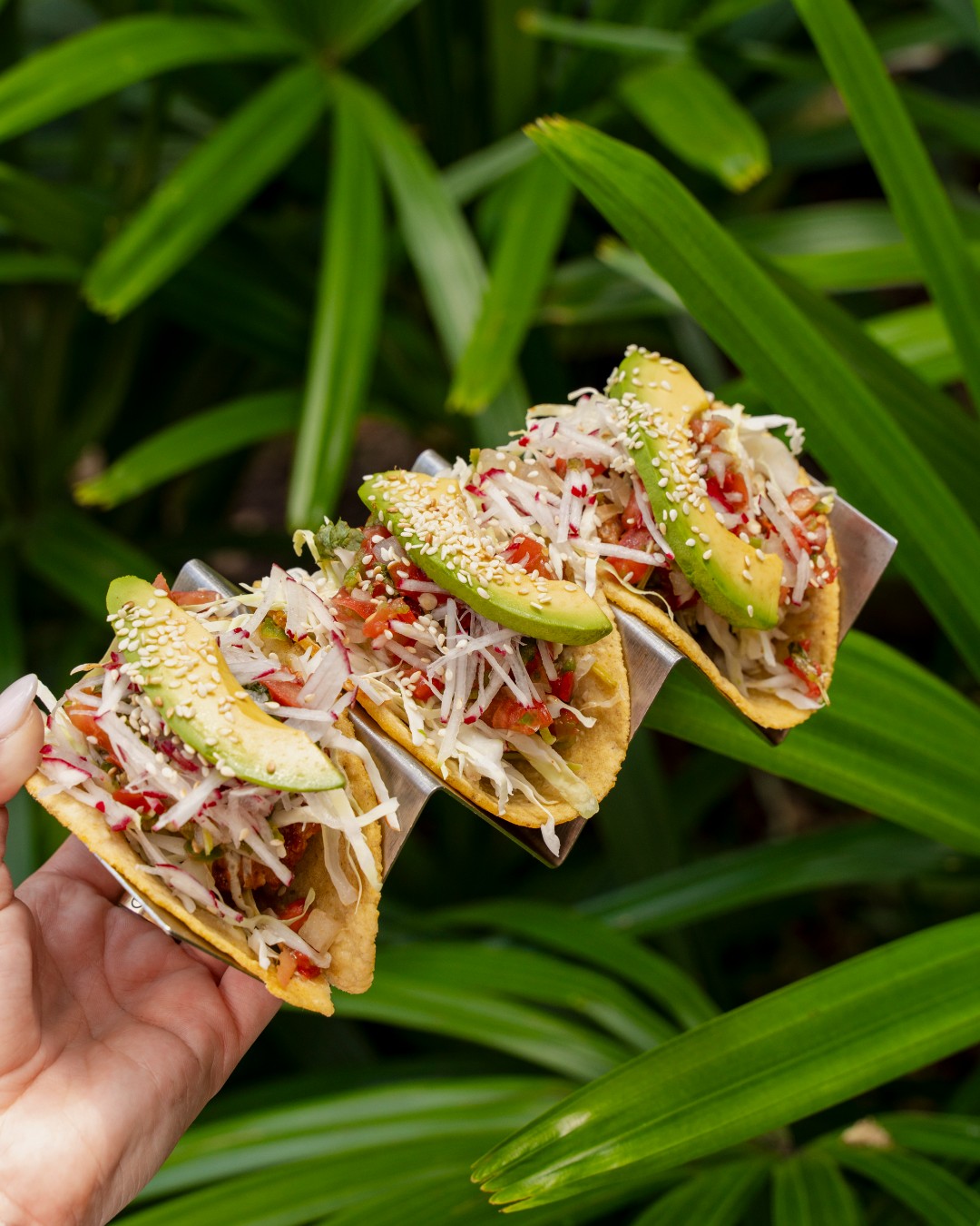 Three all-you-can-eat tacos topped with avocado and slaw held up at Rocco's Tacos Tampa on Taco Tuesday