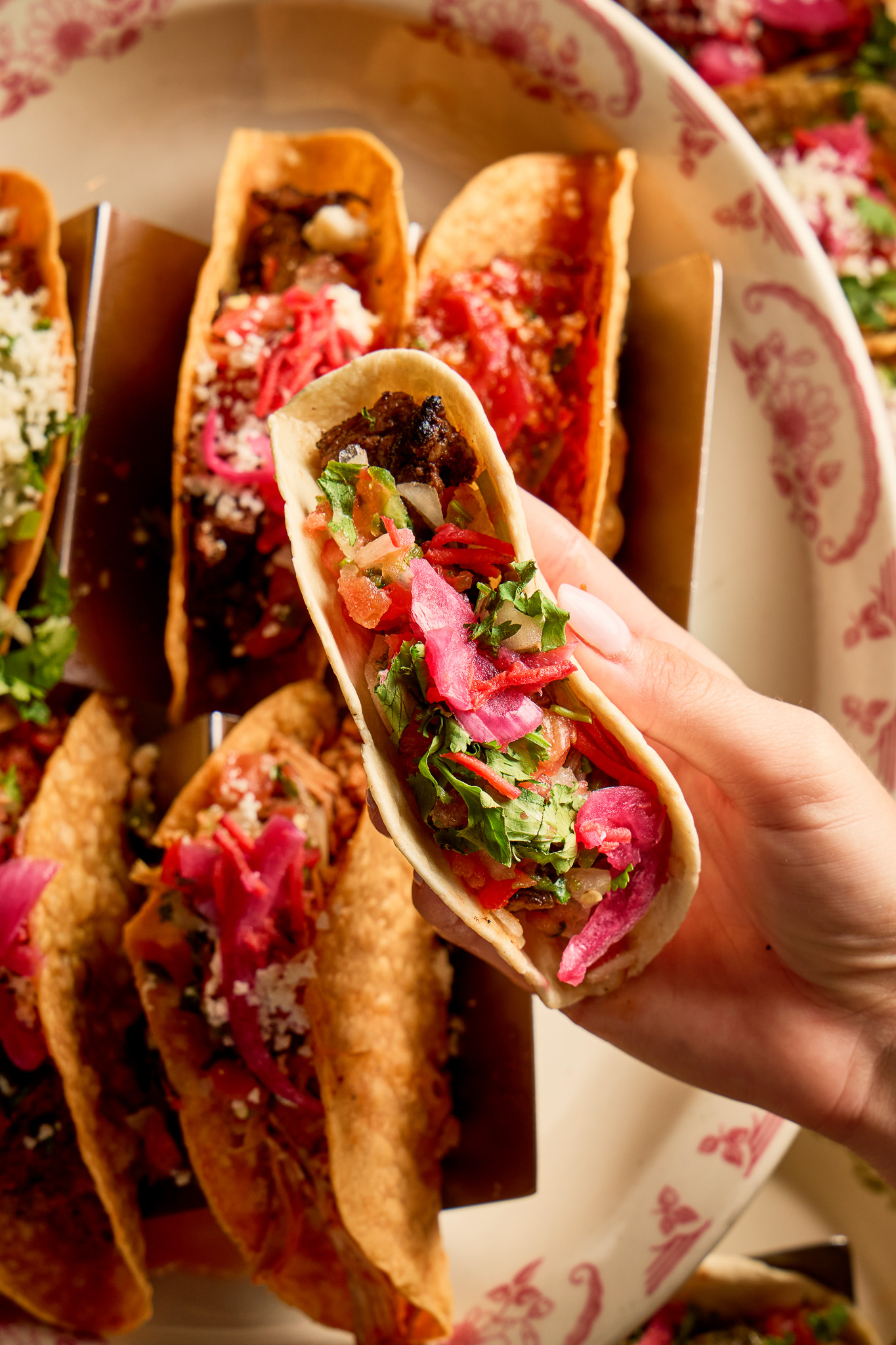 Hand holding a crispy Rocco's taco with pickled red onion and cilantro over a tray of happy hour tacos at Rocco's Tacos Burlington