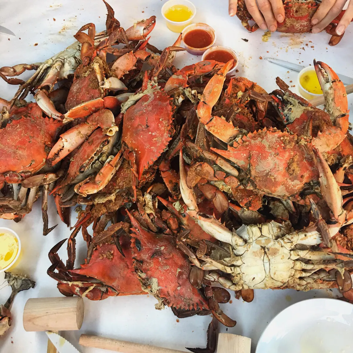 a plate of food