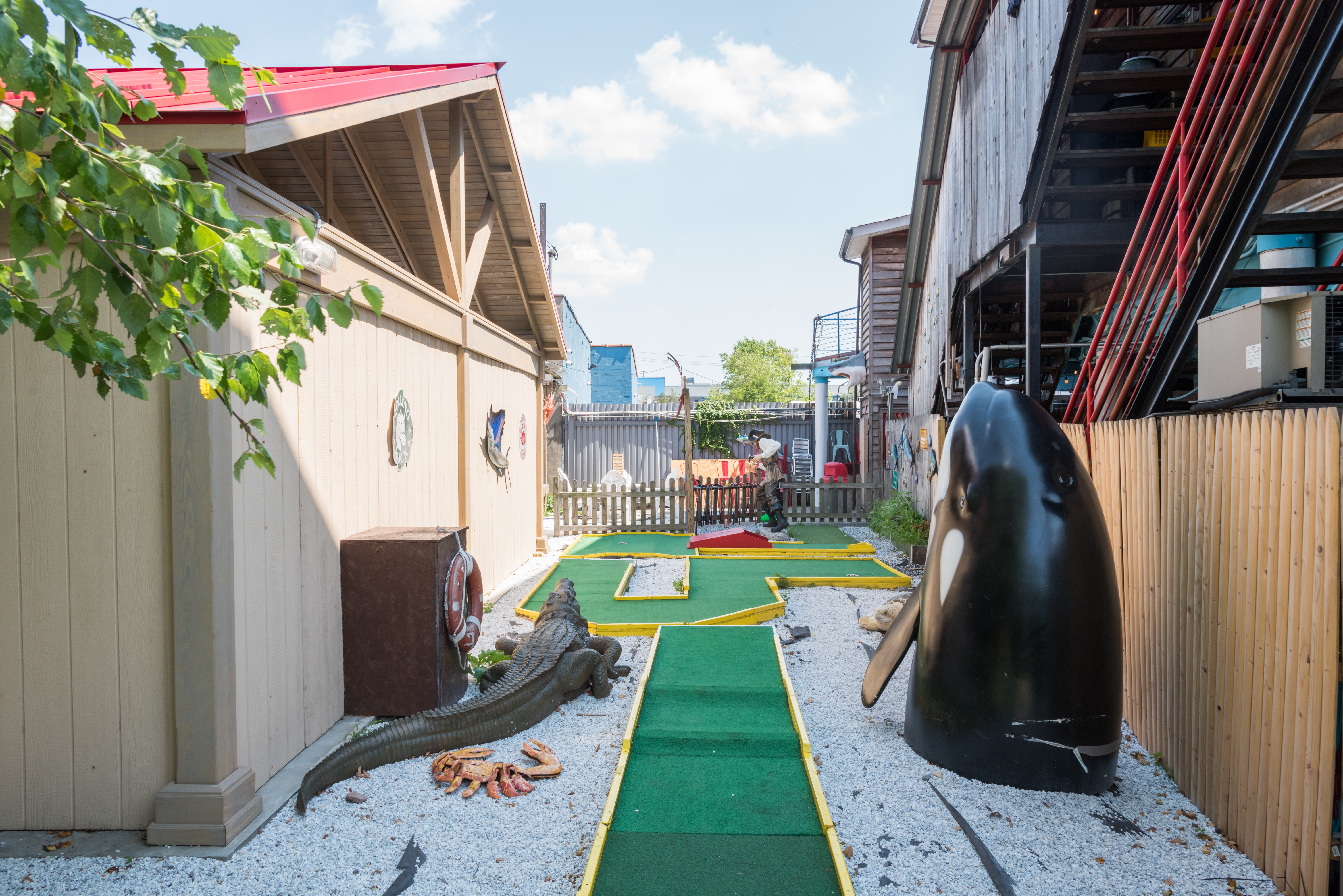 a cat sitting on top of a building