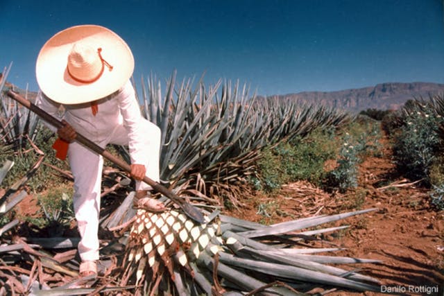 Jalisco