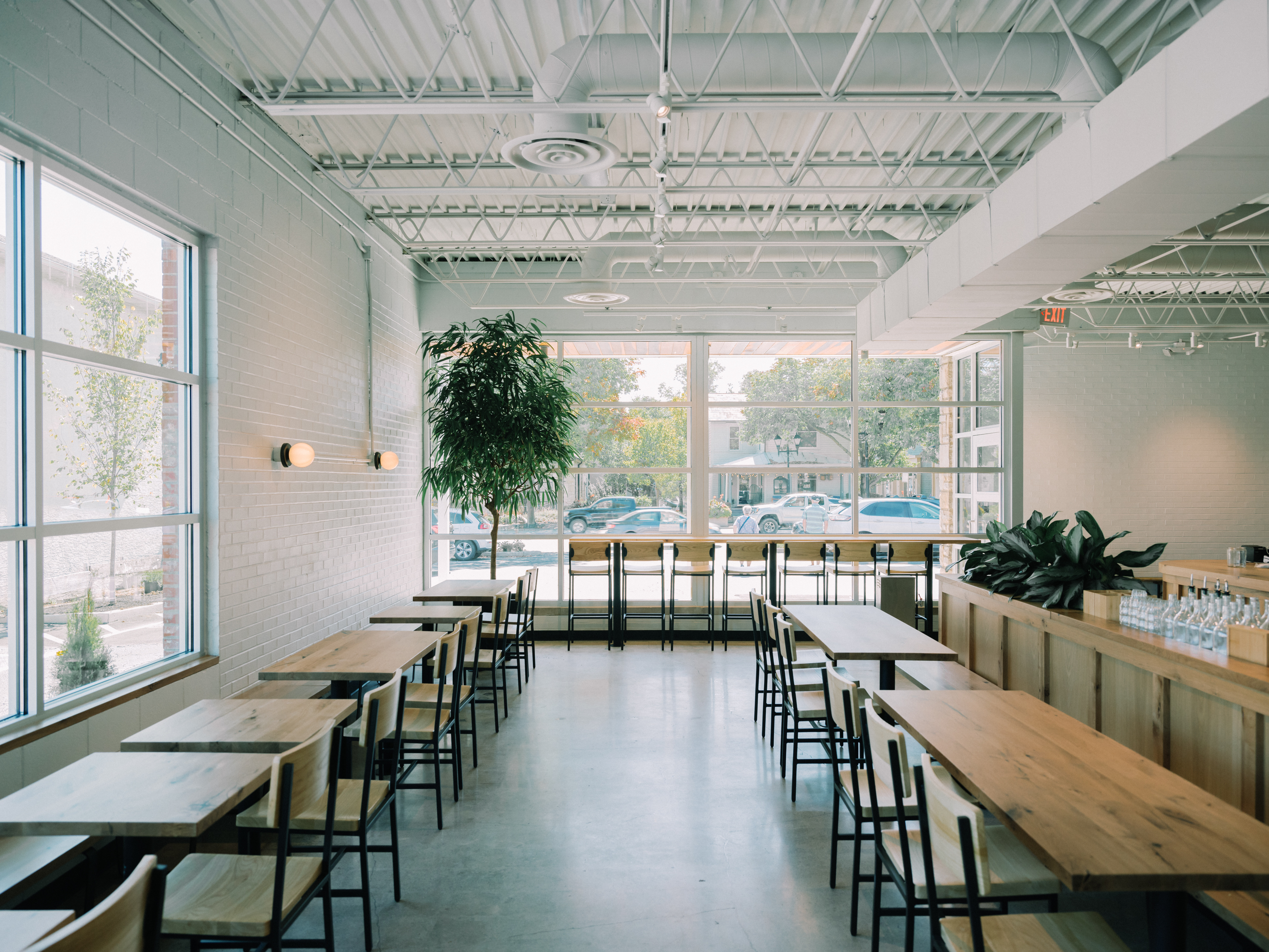 Fox in the Snow Cafe