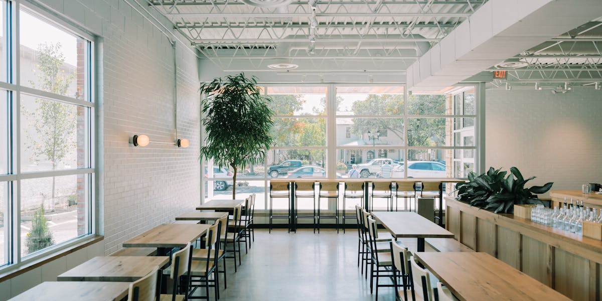 Fox in the Snow Cafe