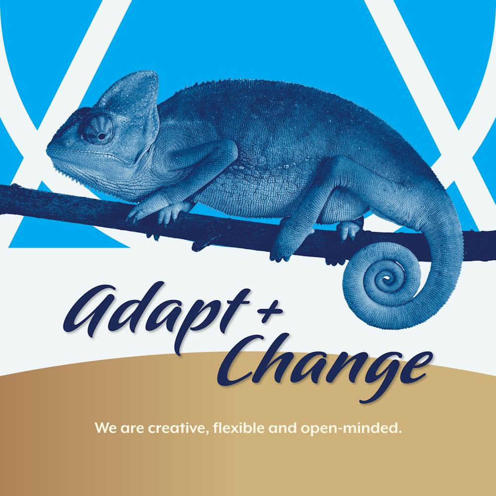 Graphic with caption that reads, "Adapt and Change: We are creative, flexible and open minded."