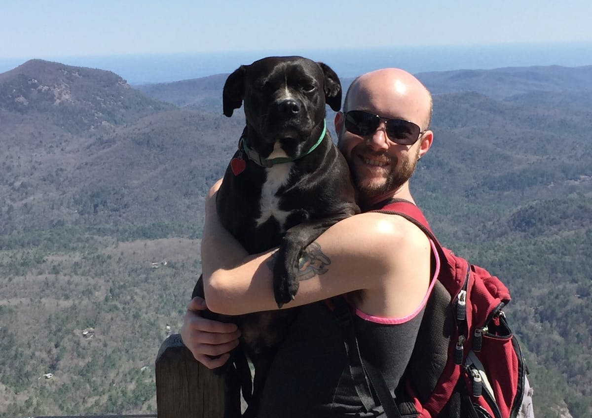 a dog wearing sunglasses and standing in front of a mountain