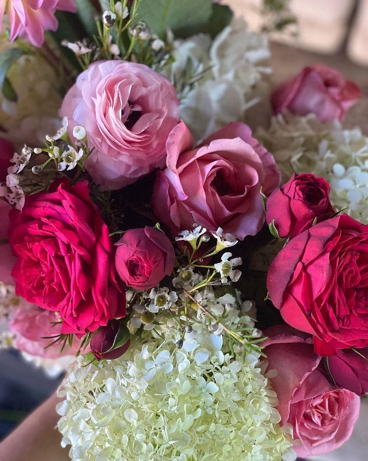 a close up of a flower