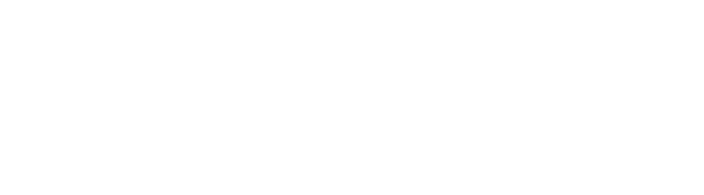 dine amic hospitality