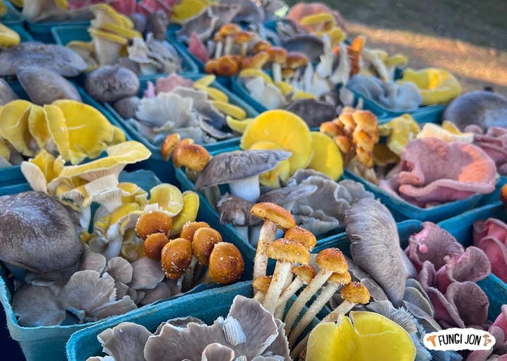 a group of stuffed animals