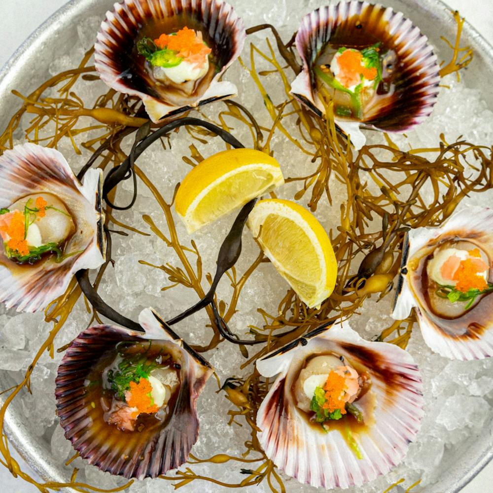 Seafood Salad, Boiled Egg, Tomato, Cucumber, Avocado