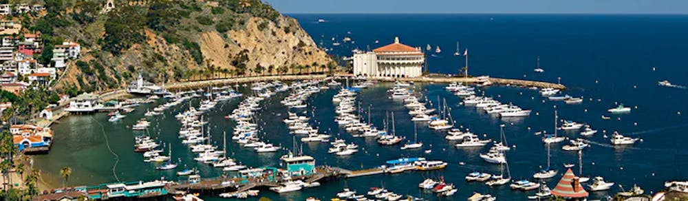 a harbor filled with boats