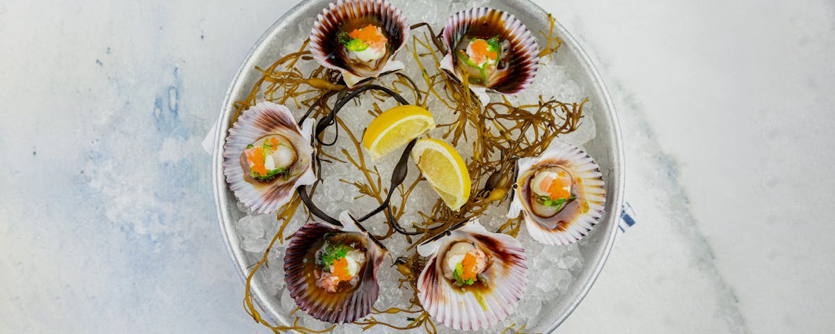 Ponzu sea scallops