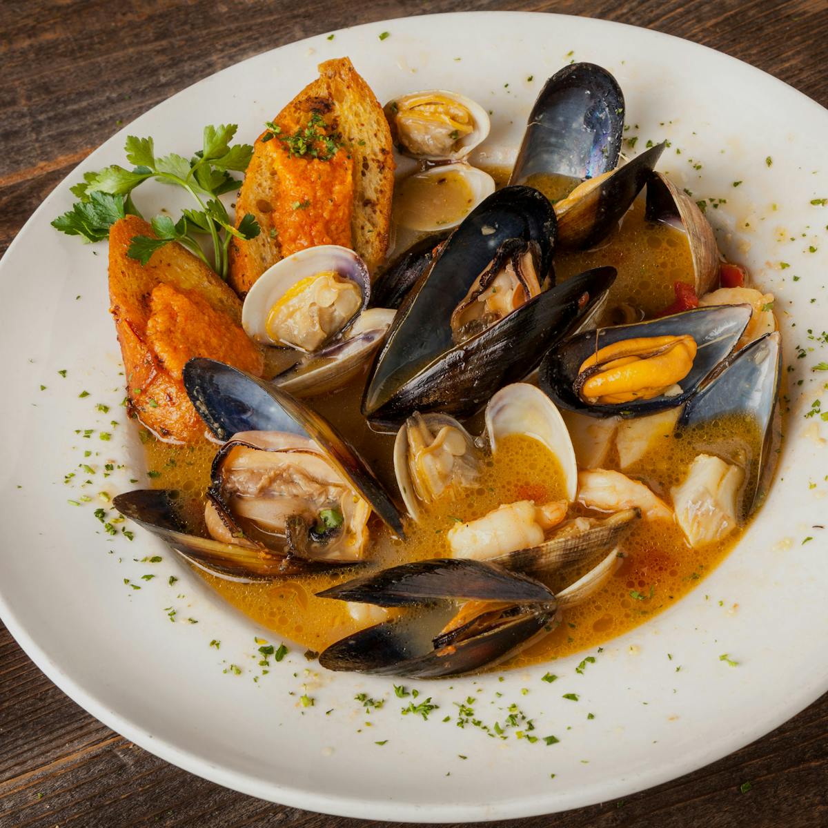 Italy’s Cioppino in a zesty marinara sauce with clams, mussels, calamari, shrimp, scallops and fish