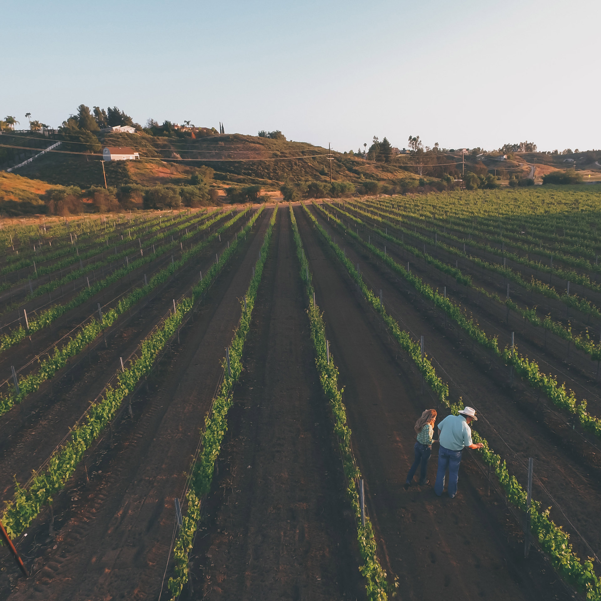 Marshall Stuart Winery