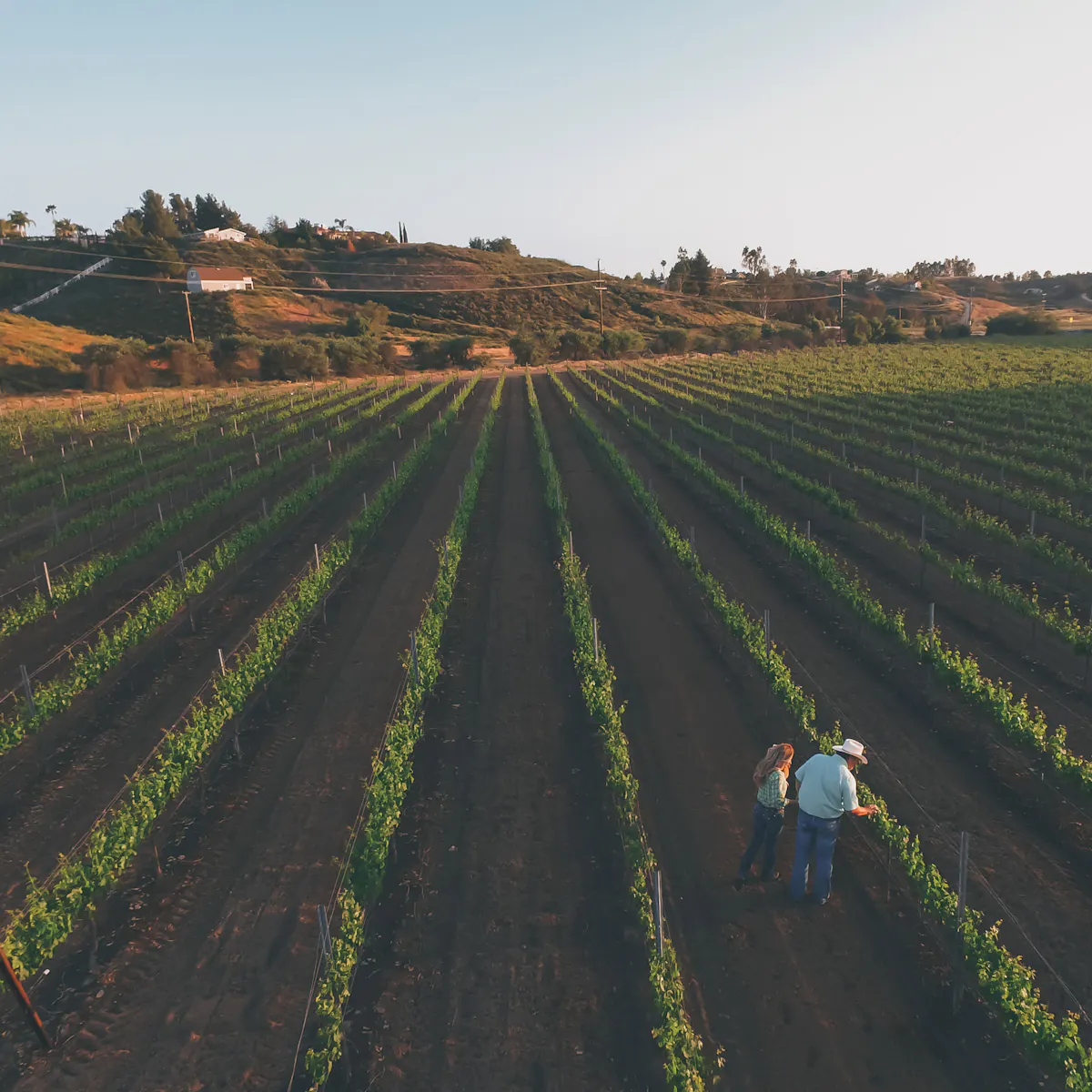 Marshall Stuart Winery