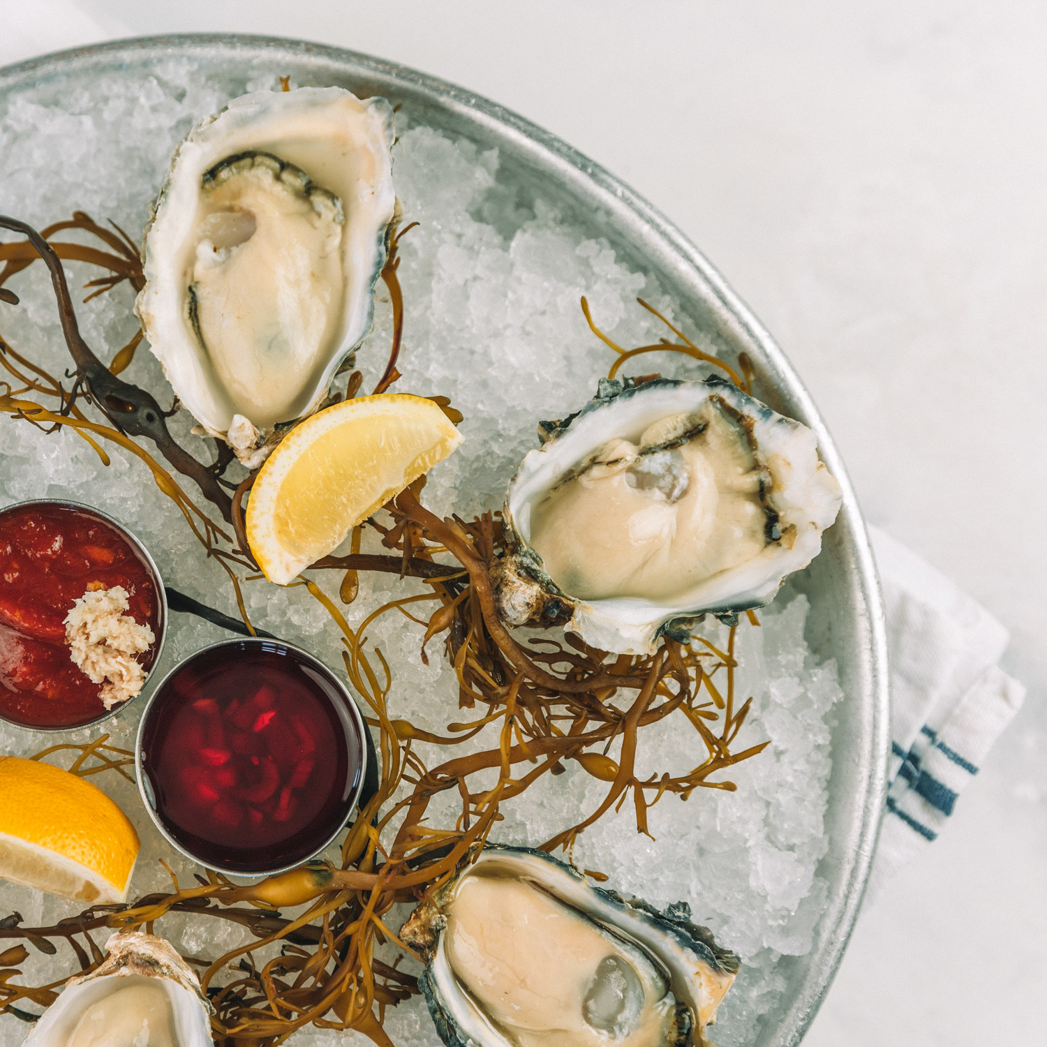 Oysters on the Half Shell
