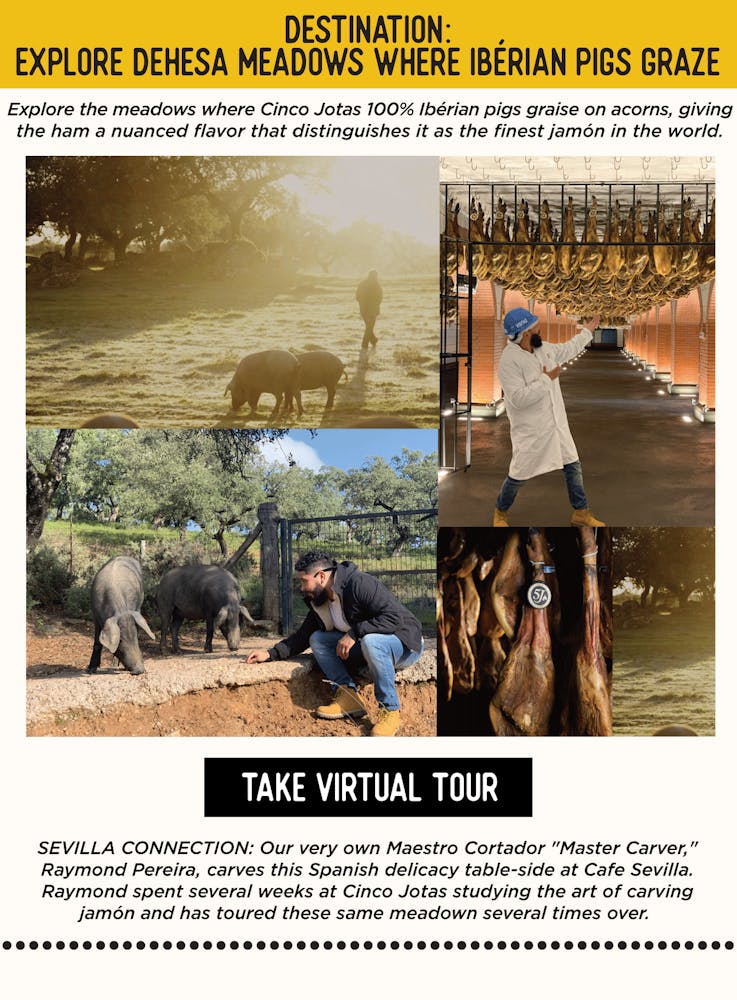 IMAGE: Man exploring garden with pigs. TEXT: DESTINATION: Explore Dehesa Meadows Where Ibérian Pigs Graze - Explore the meadows where Cinco Jotas 100% Ibérian pigs graise on acorns, giving the ham a nuanced flavor that distinguishes it as the finest jamón in the world. SEVILLA’S CONNECTION: Our very own Maestro Cortador "Master Carver," Raymond Pereira, carves this Spanish delicacy table-side at Cafe Sevilla. Raymond spent several weeks at Cinco Jotas studying the art of carving jamón and has toured these same meadown several times over.