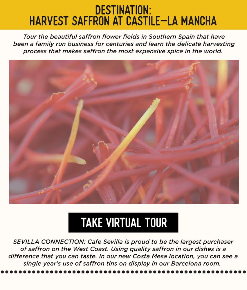 IMAGE: Saffron. TEXT: DESTINATION: Harvest Saffron at Castile-La Mancha - Tour these beautiful saffron flower fields in Southern Spain that have been a family run business for centuries and learn the delicate harvesting process that makes saffron the most expensive spice in the world. SEVILLA’S CONNECTION: Cafe Sevilla is proud to be the largest purchaser of saffron on the west coast. Using quality saffron in our dishes is a difference that you can taste. In our new Costa Mesa location, you can see a single year's use of saffron tins on display in our Barcelona room.