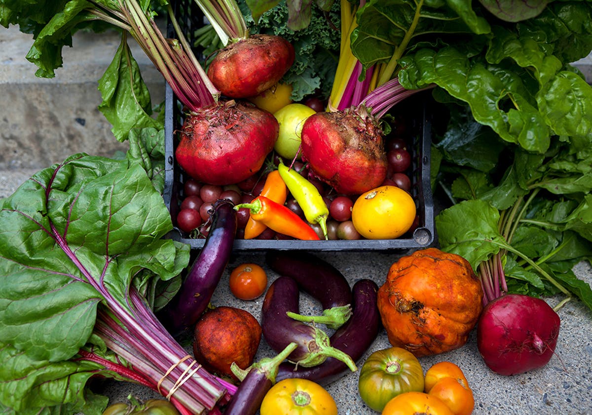 a group of fresh fruit and vegetables