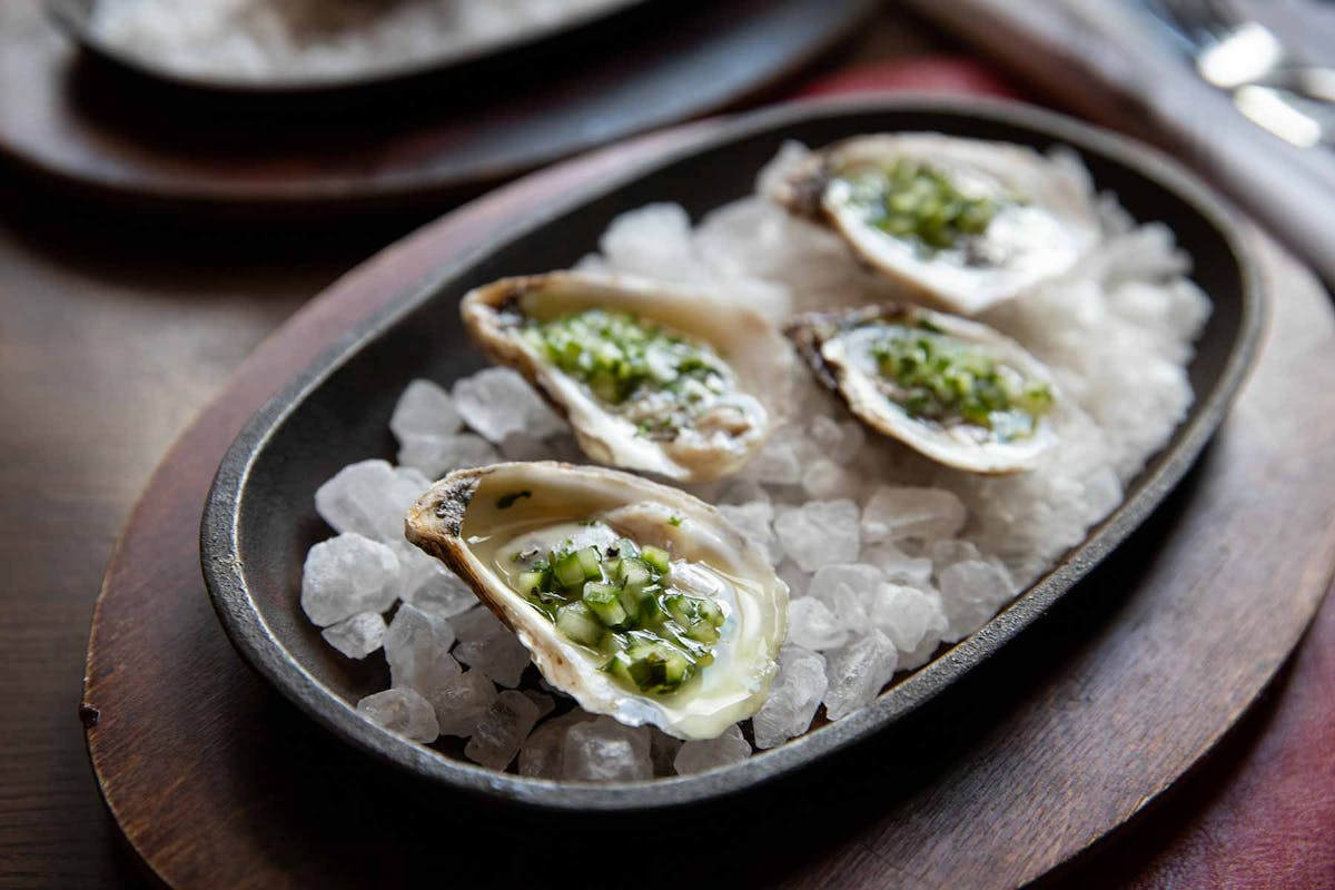 American Bounty Tavern Oysters