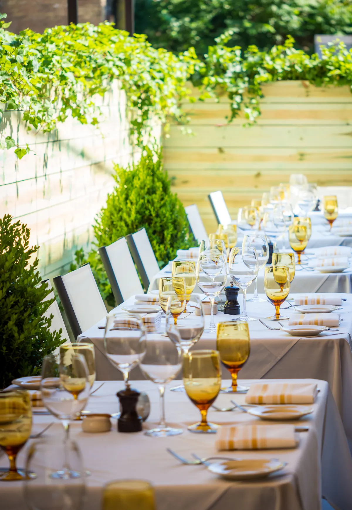 The Best Steakhouse on Chicago's North Shore