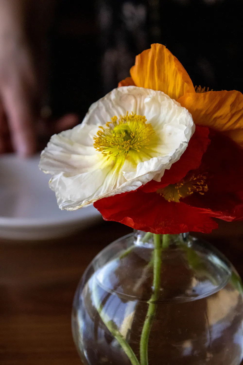 Spring Restaurant business photo