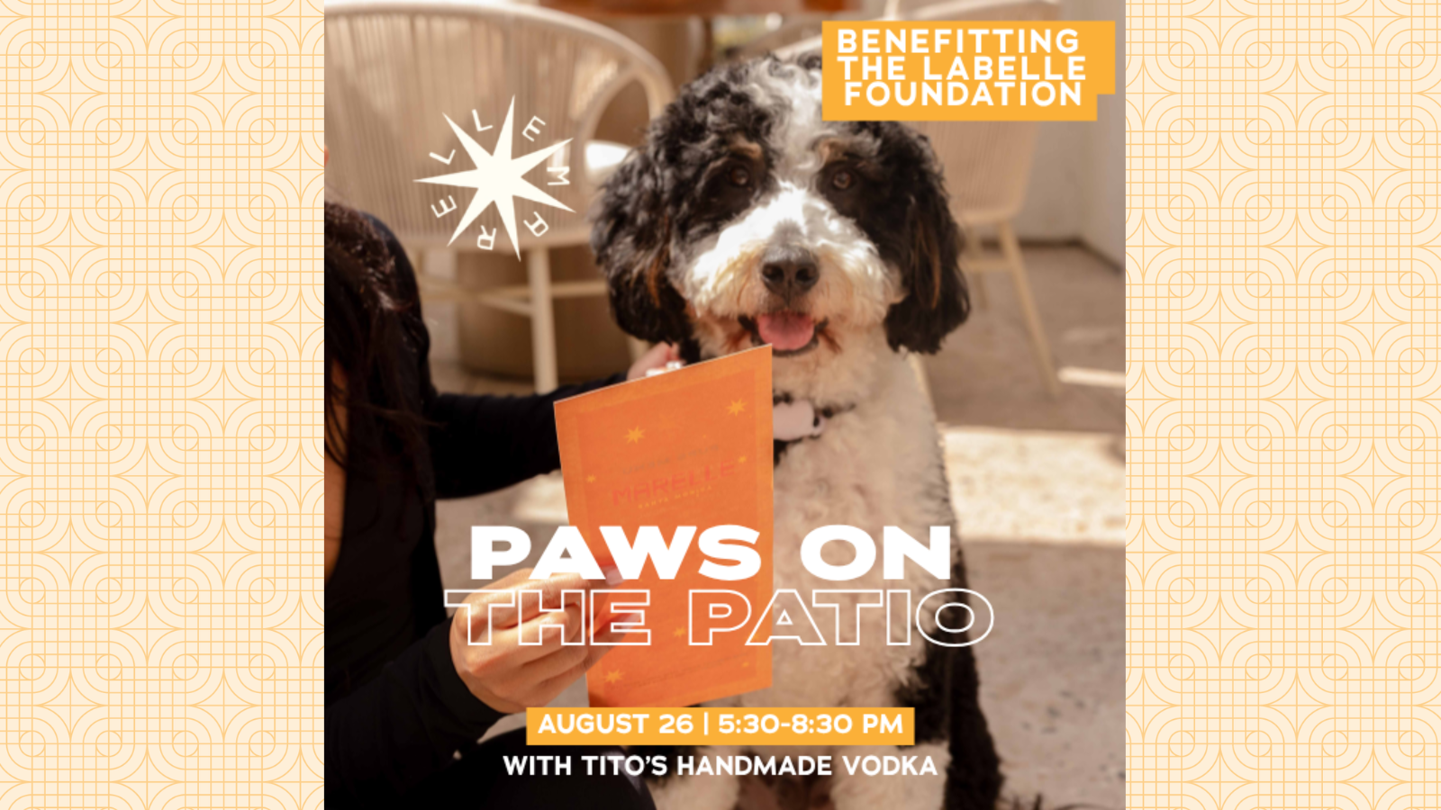Paws on the Patio