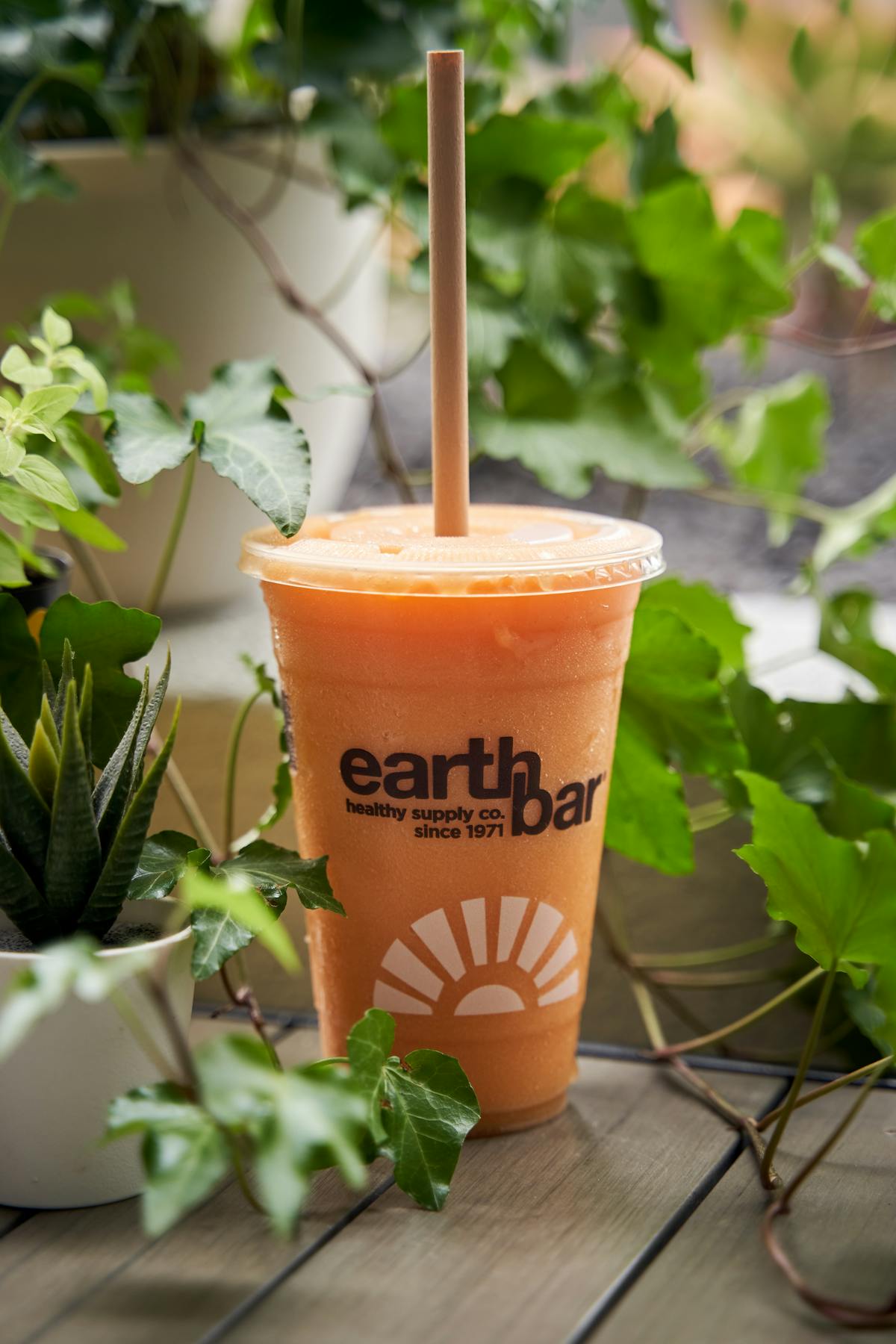 slim down smoothie earth bar