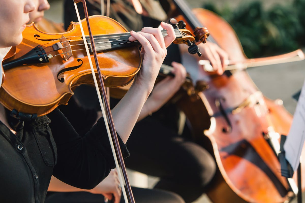 a person holding a violin