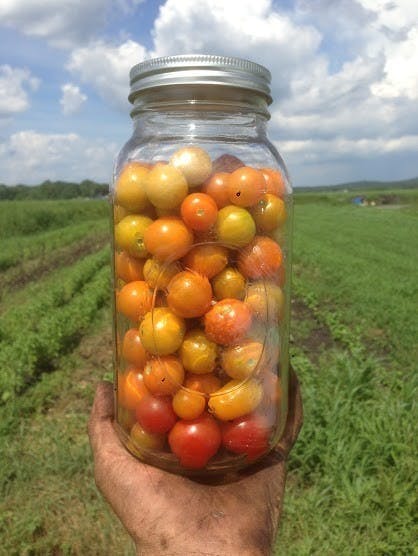 Photo of Blooming Hill Farm