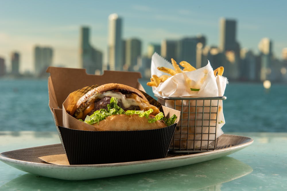 burger and side of fries with view of city in background