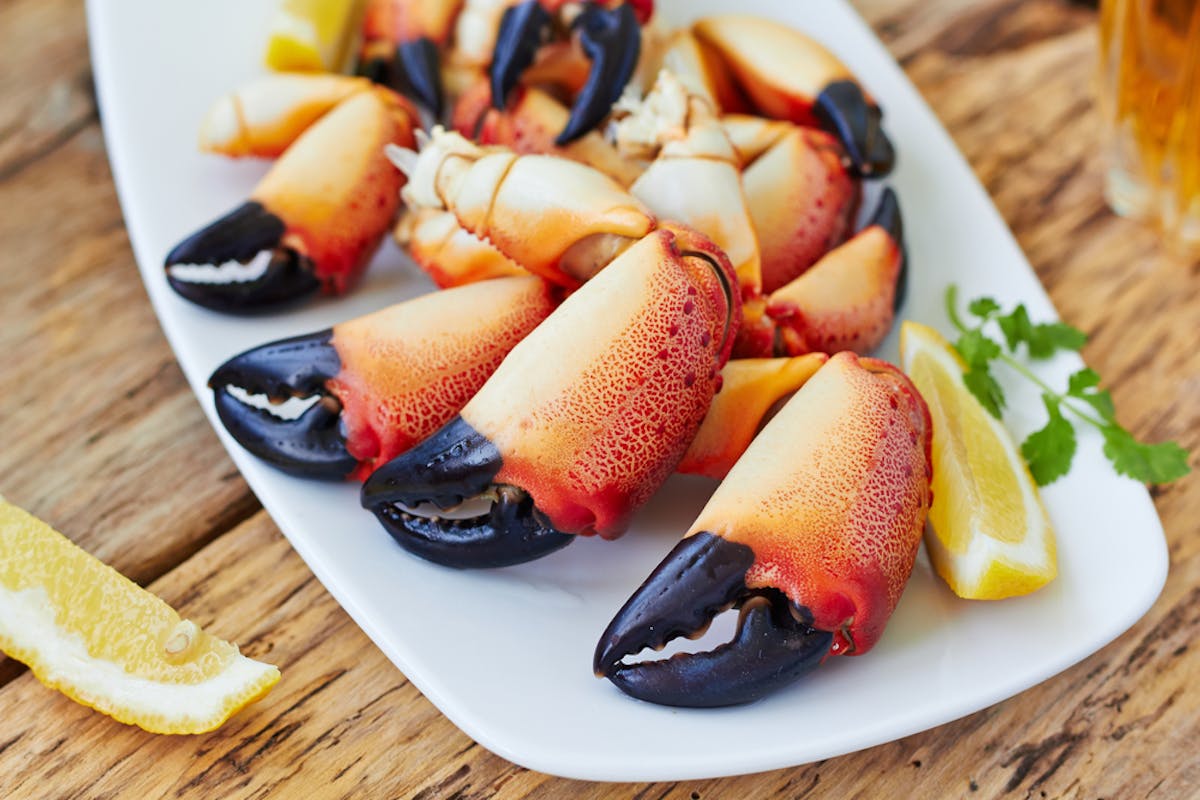 Snow Crab