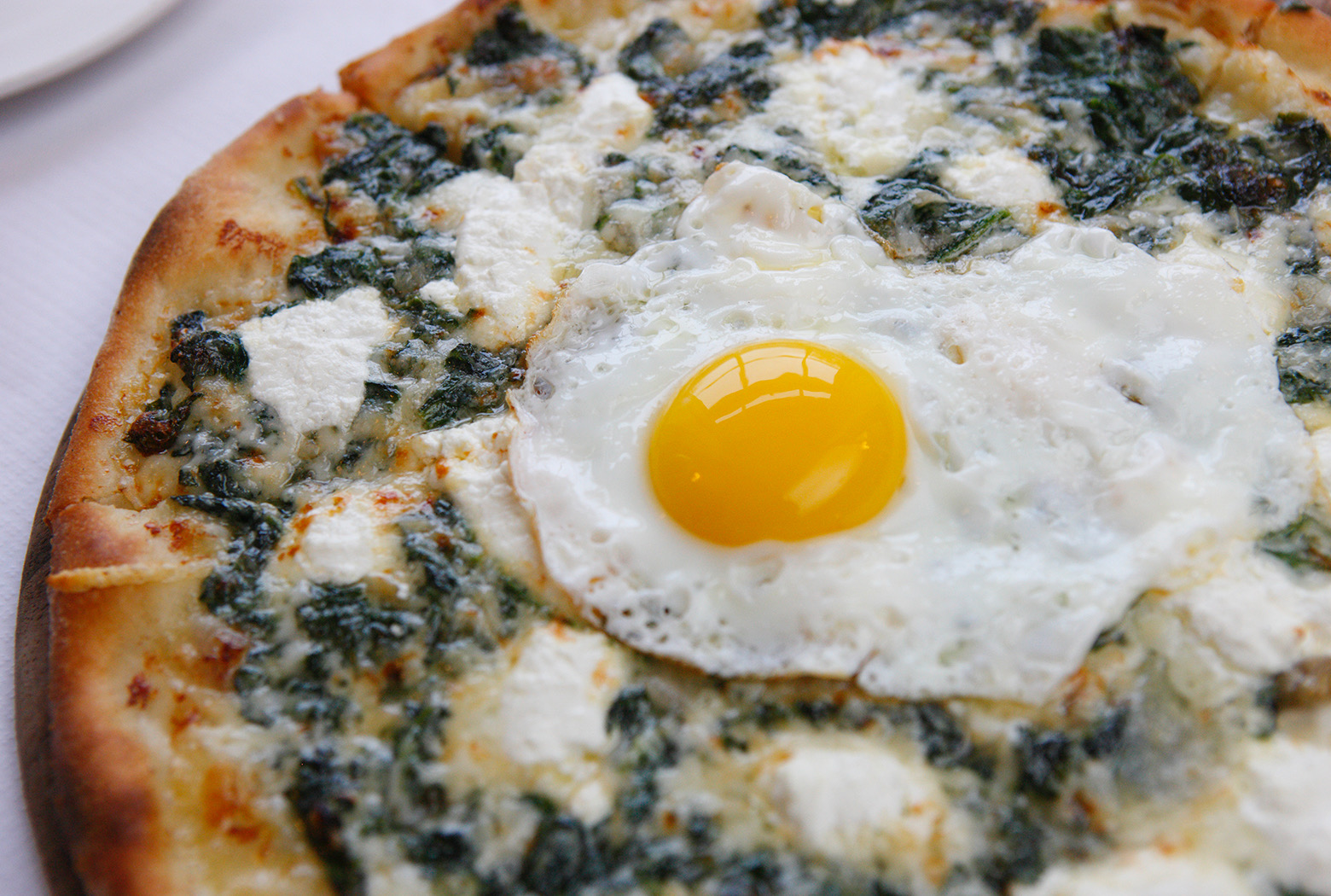 a close up of a pizza covered in cheese