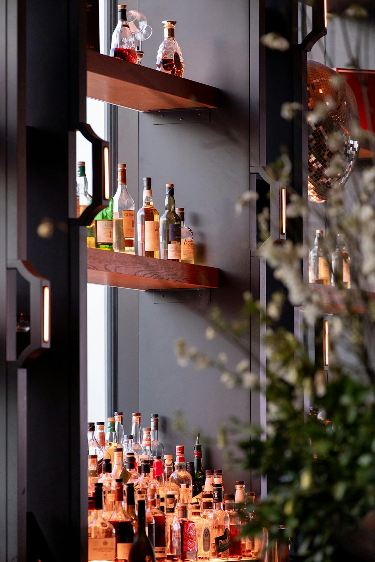a closeup of whiskey bottles on a shelf behind the bar at tesserae